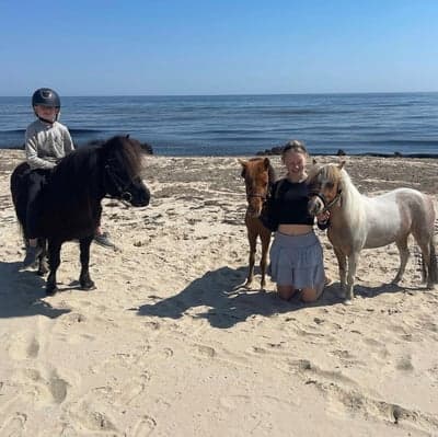 Inlägg 2 av Amerikansk Miniatyrhäst med titeln Stranden med miniasrna❤️