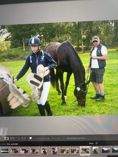 Inlägg 1 av Oldenburger med titeln Testträning