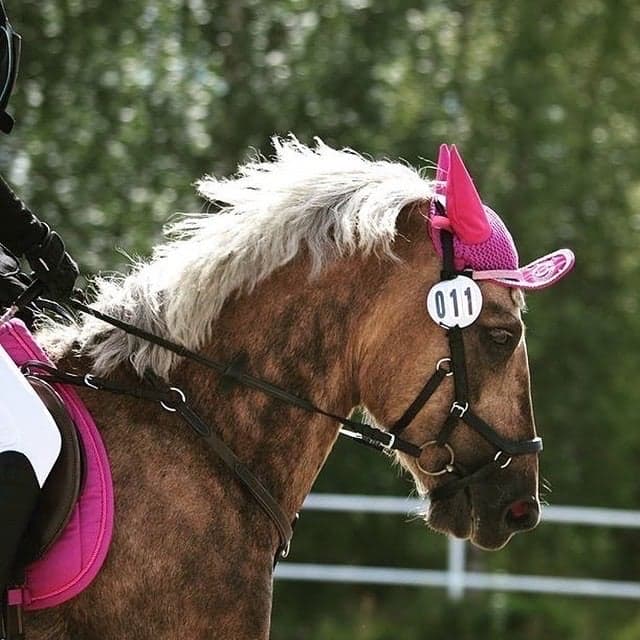 Bild 1 av placeholder text