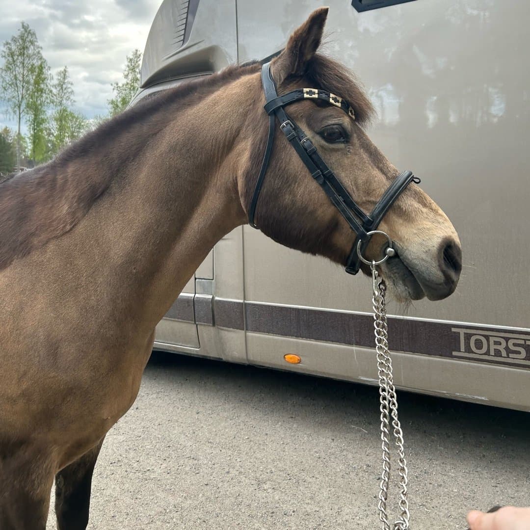 Bild 1 av Nelson