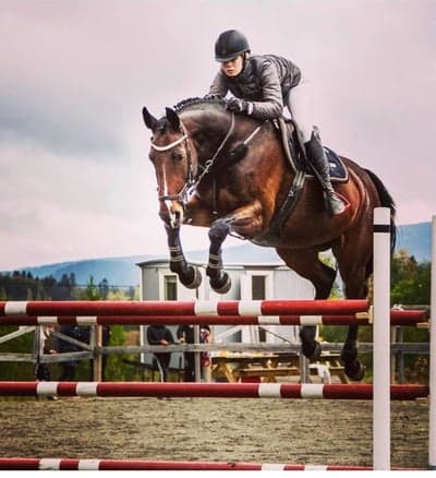 Inlägg 28 av Allround