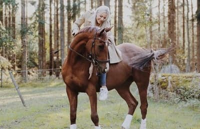 Inlägg 86 av Allround med titeln Världens vackraste fullblod ❤️