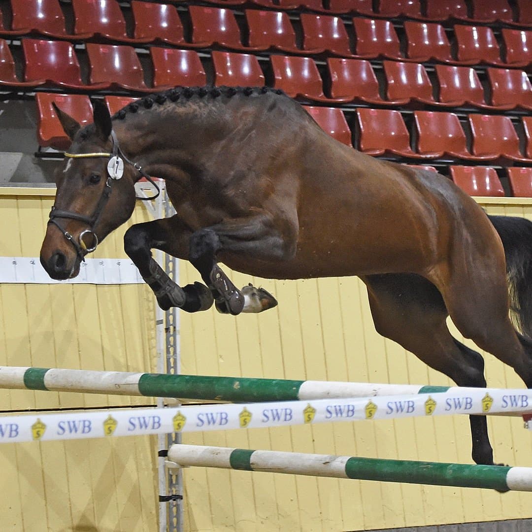 Bild 1 av Blue Diamo d