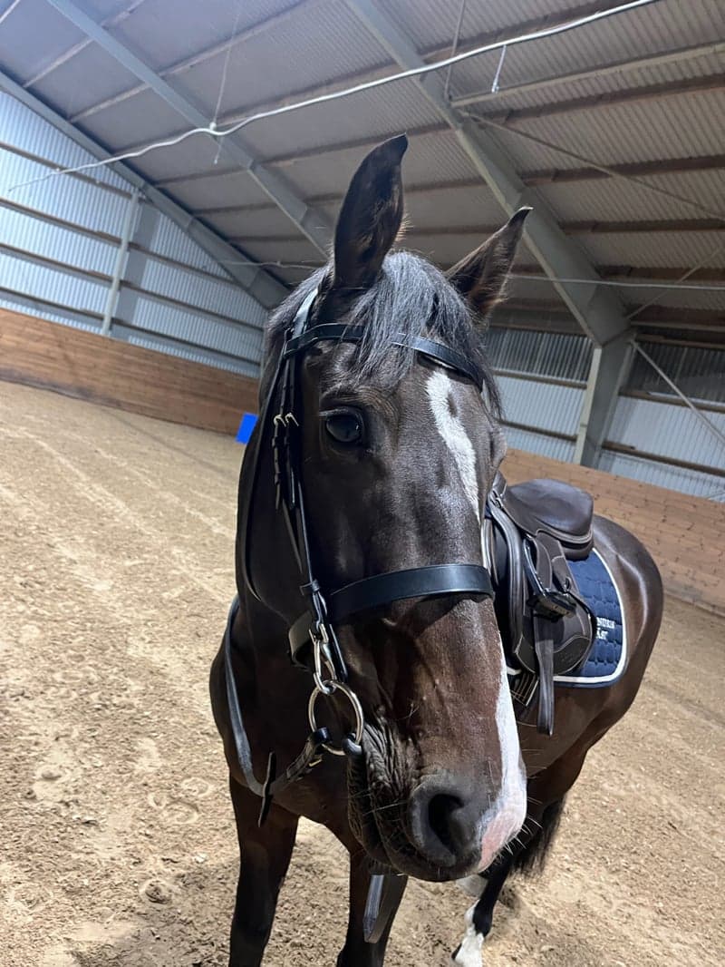 Image 2 of Chabako van de rietvenne