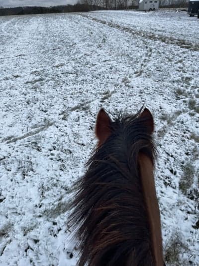 Inlägg 66 av Allround med titeln Harlekin❄️