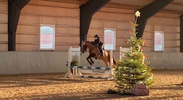 Bild 1 av Jolly jumper