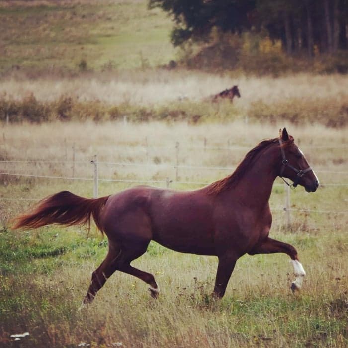 Media 1 av Goodlooking B.T.B