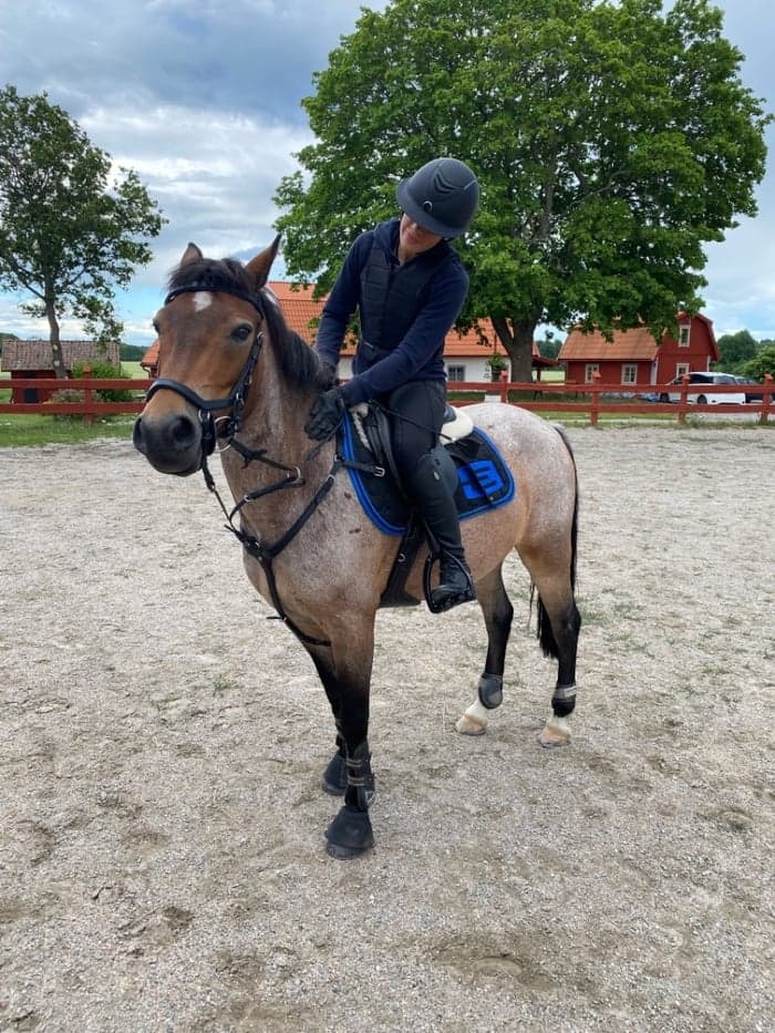 Media 1 av Fernyknap Soldier on