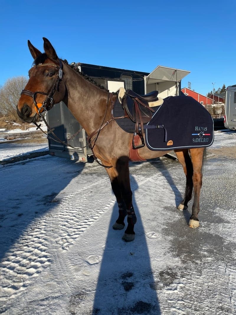 Bild 3 av Celeste Cee