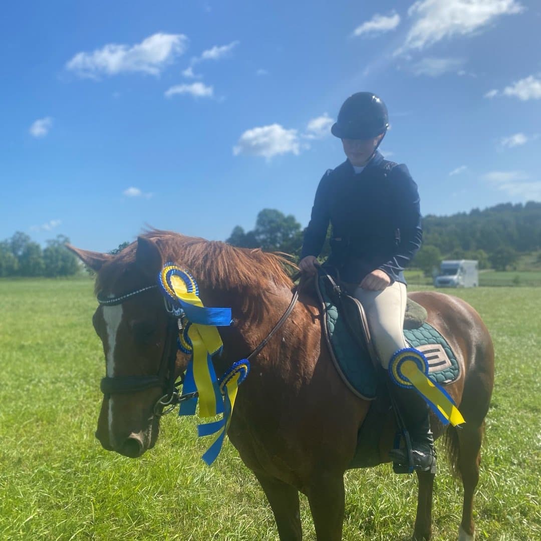 Bild 1 av Stuves Chili