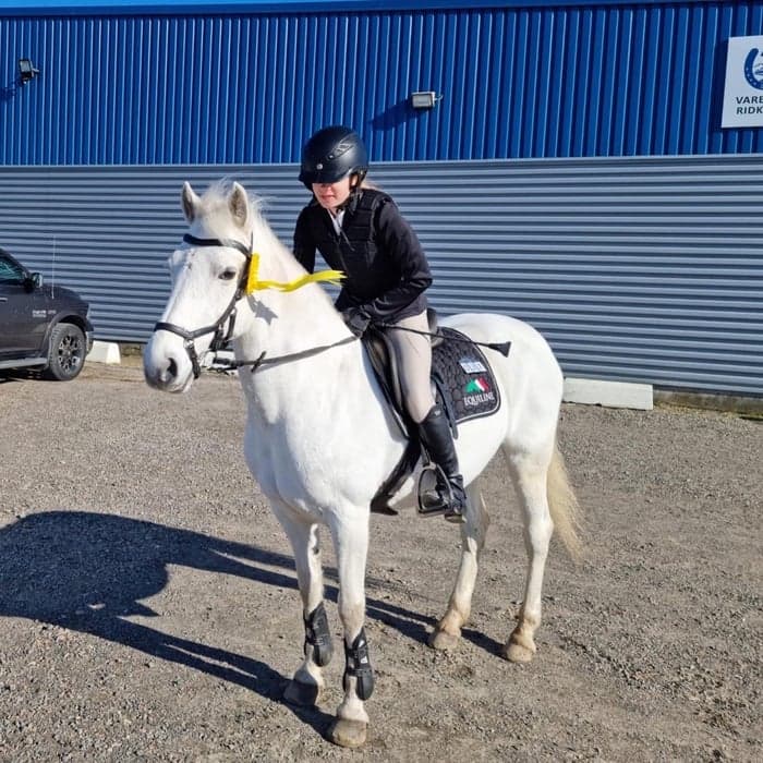 Media 1 av Knockmeal Princess