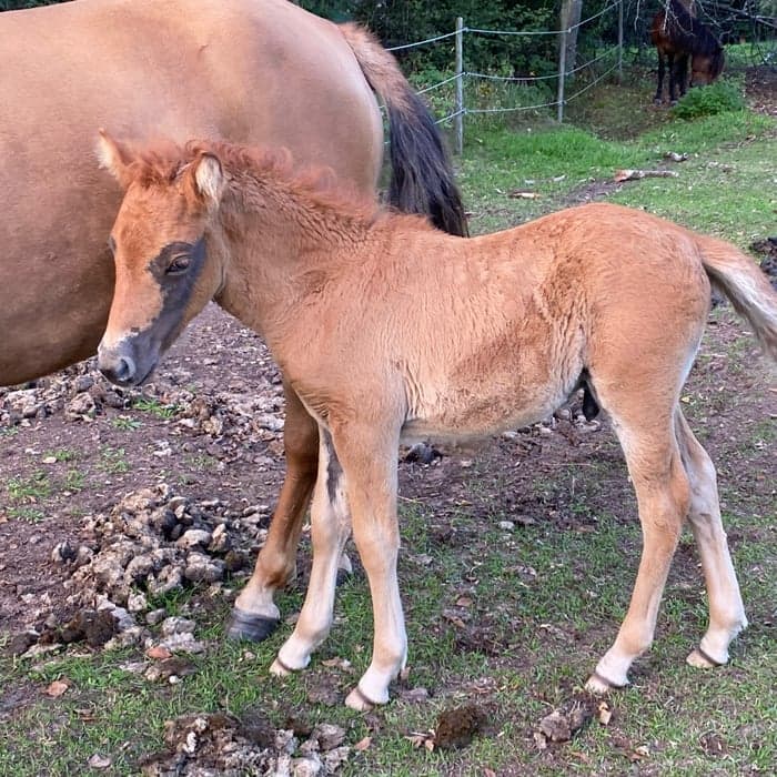 Media 1 av Min Lilla Eldboll