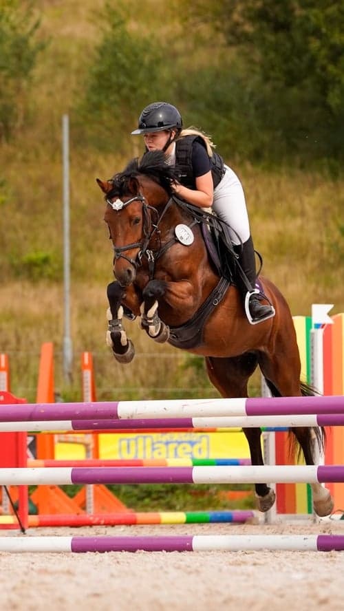 Bild av Ponny för fälttävlan och hoppning 