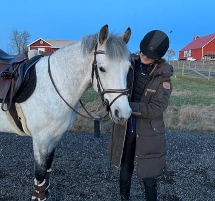 Media 1 of Dinarthall Diesel