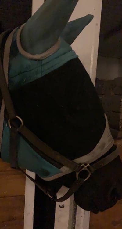 Inlägg 6 av Angloarab med titeln Limpan 