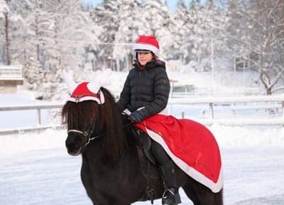 Inlägg 34 av Island med titeln God Jul🎄✨♥️