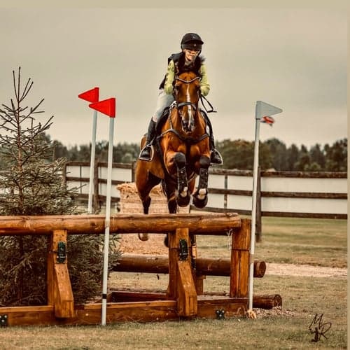 Profilbild av Elly Ivgren