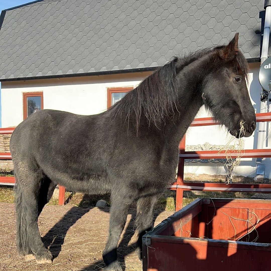 Image 1 of Ulrike V￼an Toarp