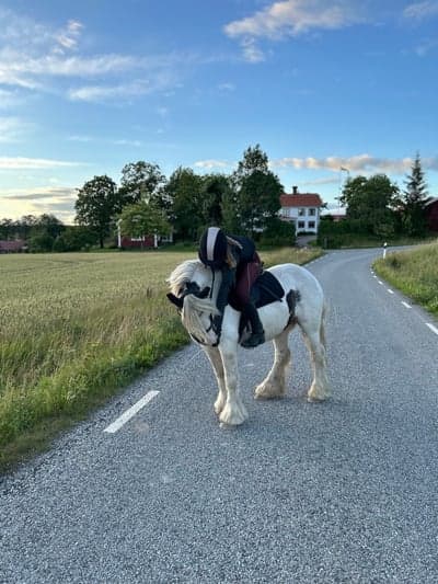 Inlägg 4 av Allround med titeln James❤️