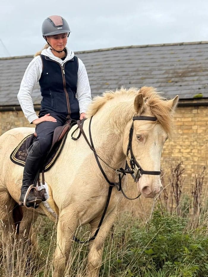 Media 6 av Striking Lemon & White Irish Allrounder- LENNIE