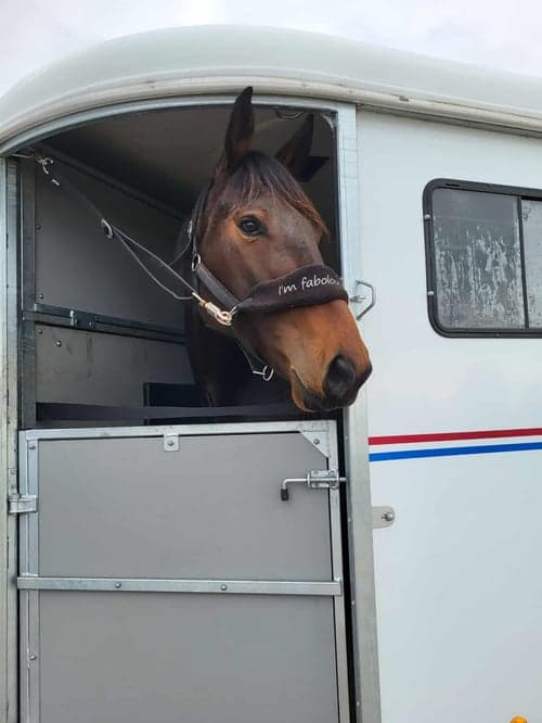 Bild av Otrolig snäll och positiv 5 åring.(Besiktad)