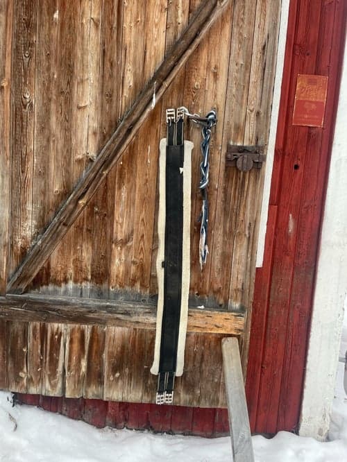 Bild av Svart sadelgjord