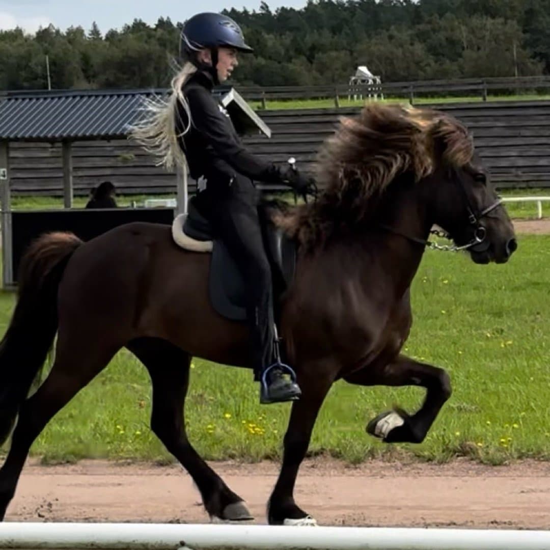 Bild 1 av Atlas från Ödegärde