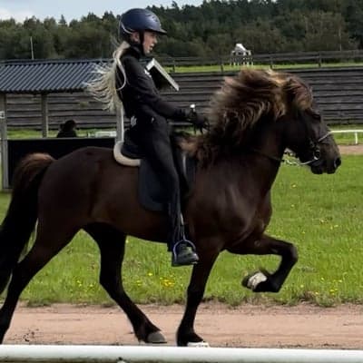 Atlas från Ödegärde