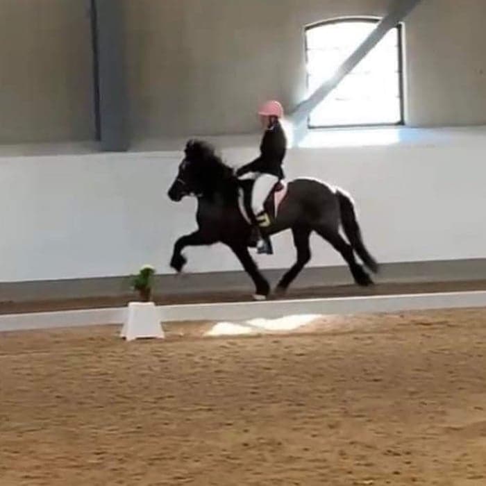 Media 1 av Orka från Gullbringa