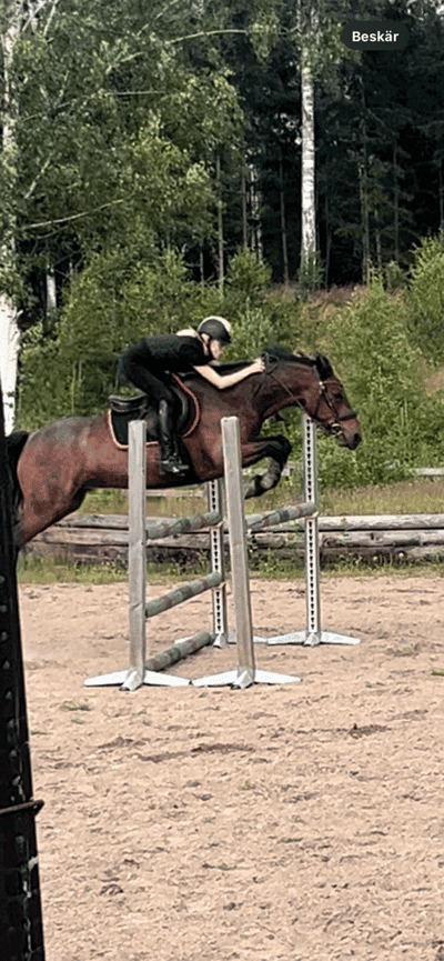 Inlägg 16 av Allround