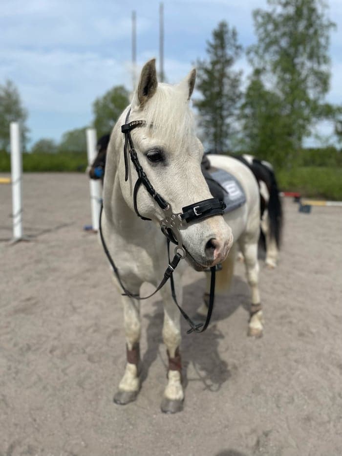 Media 1 av Hovers Eddy