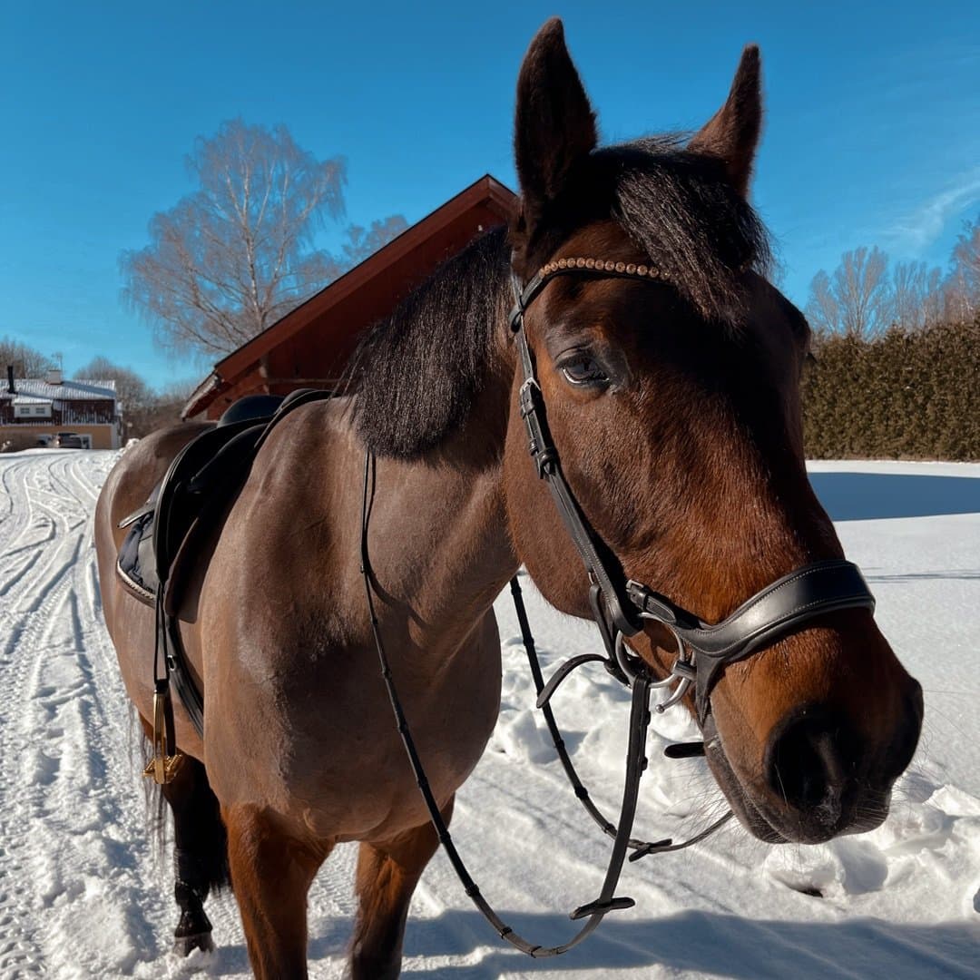 Bild 1 av Zeb McTwist