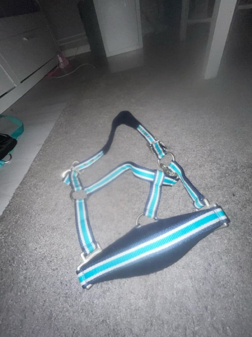 Bild 1 av Blått grimma