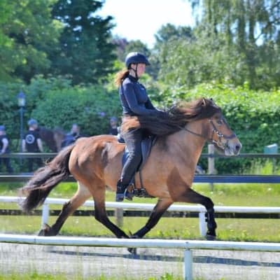 Gletta från Rooslunda