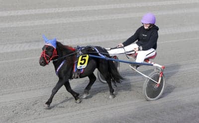 Inlägg 28 av Trav med titeln DPK’s ponnytravgala 2023 🏆