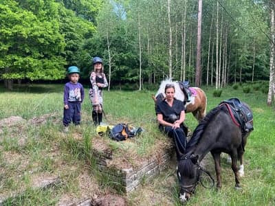 Inlägg 119 av Allround