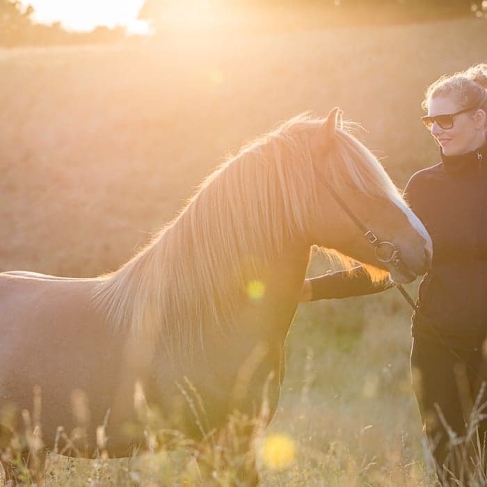 Media 1 av Víglundur frá Hvalnesi