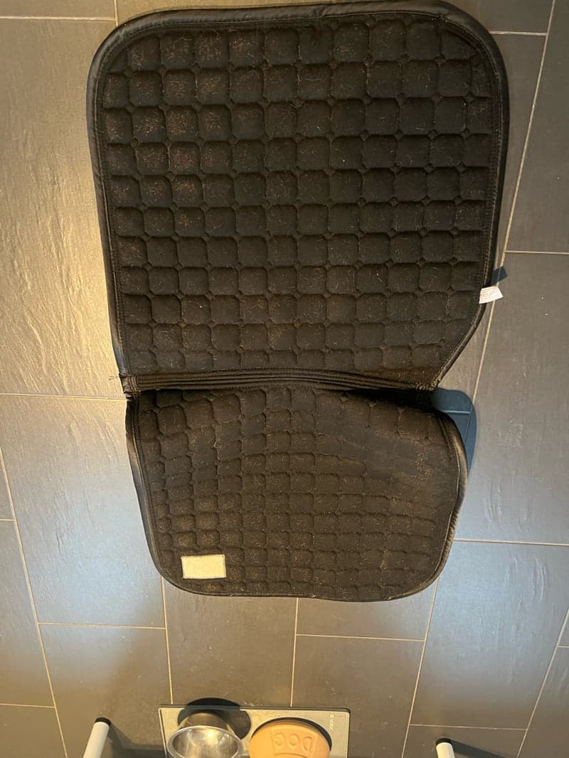 Bild 4 av Svart schabrak med guld från Equito