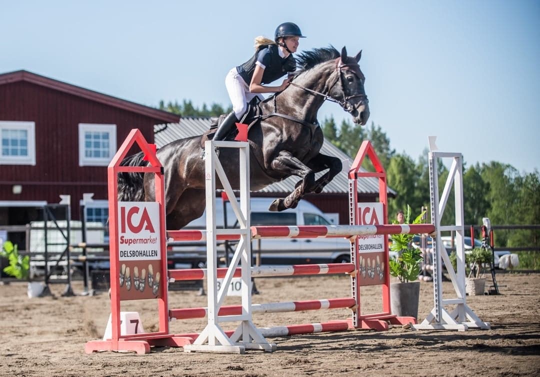 Image 1 of Inessa Polo