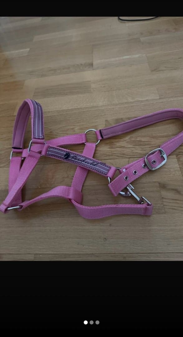 Bild 1 av Rosa grimma från Fairfield