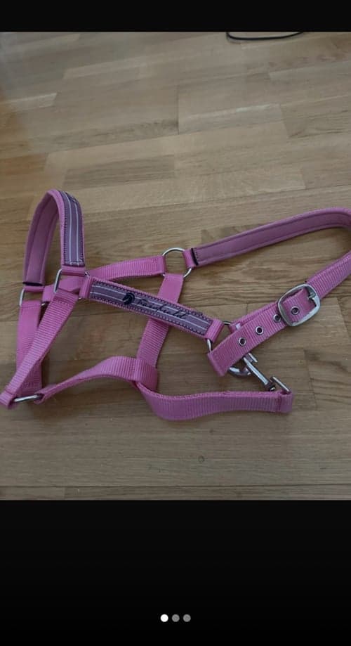 Bild av Rosa grimma från Fairfield