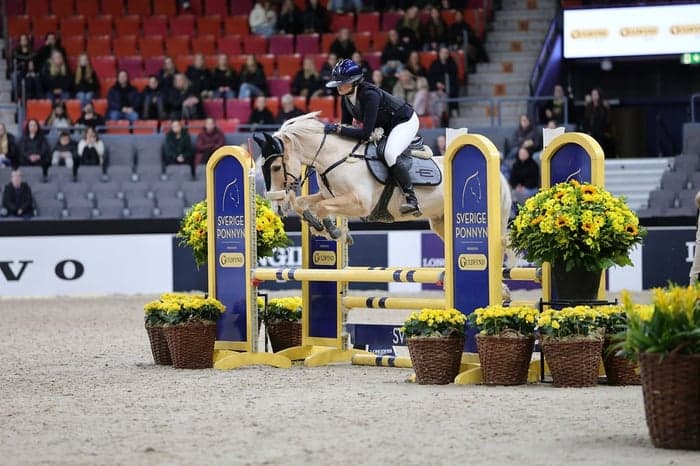 Media 2 av April Dandy