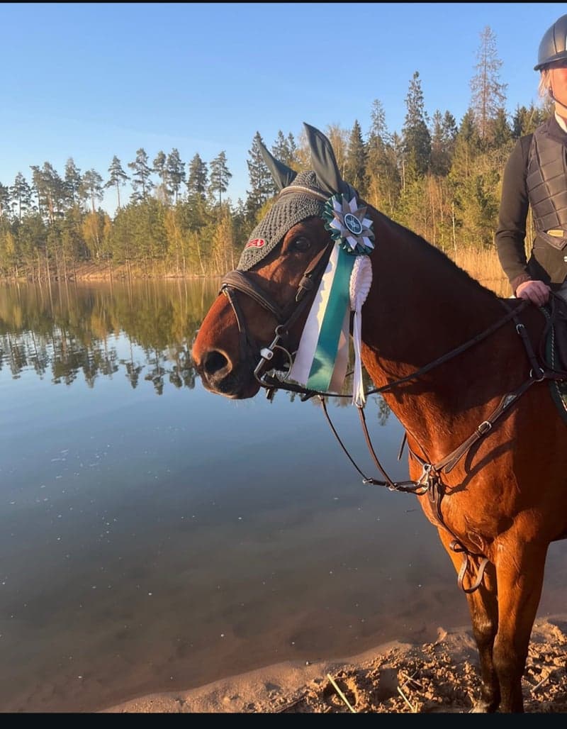 Bild 4 av Shine bright