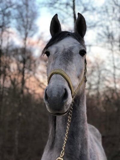 Inlägg 84 av Allround