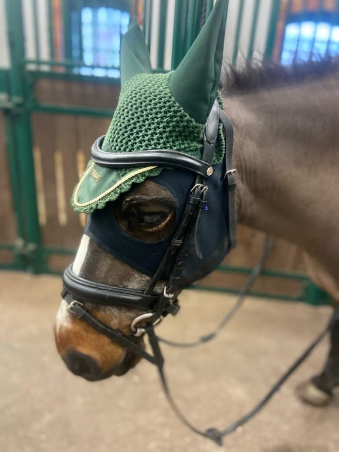 Media 4 av Beaufort Max