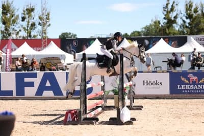 Inlägg 6 av Allround