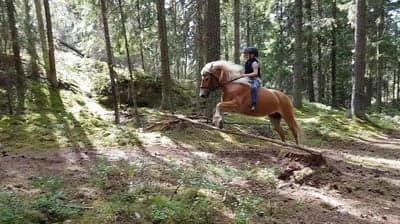 Inlägg 180 av Allround med titeln Min ängel 🕊️❤️