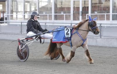 Inlägg 82 av Trav med titeln Kval