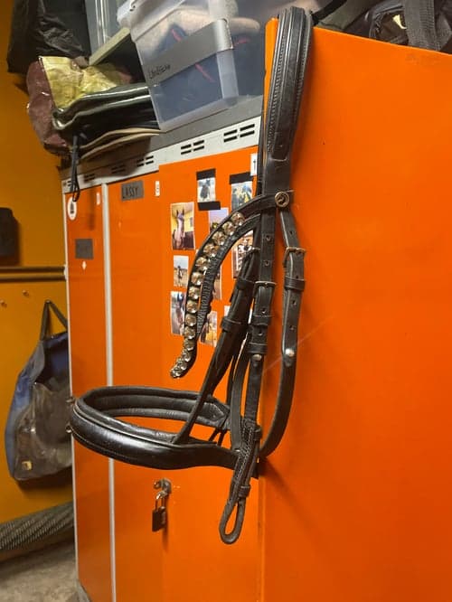 Bild av Svart träns med strass