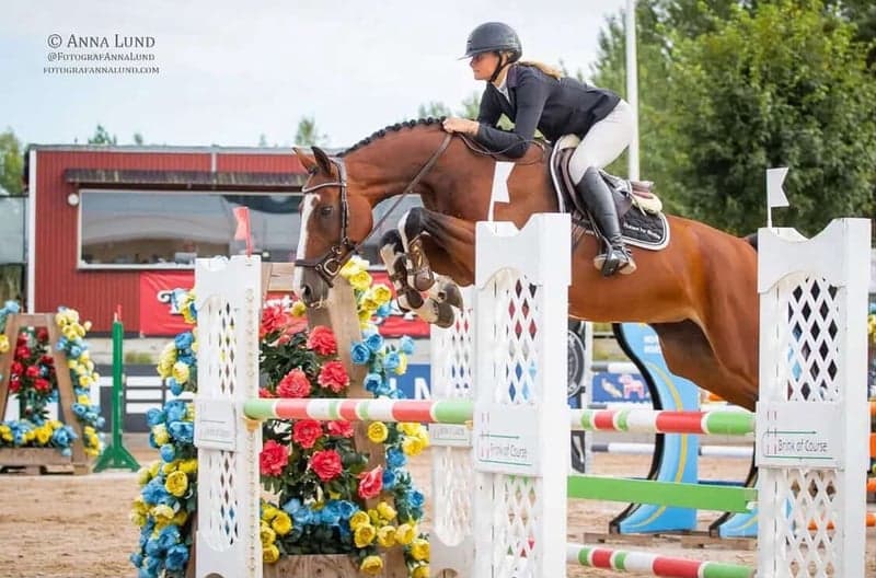 Bild 2 av Quality of Darena WD Z